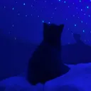 Hankuu avatar